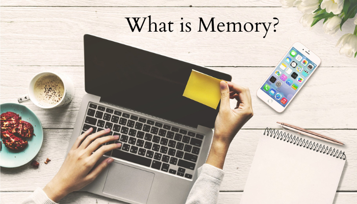 What is Memory